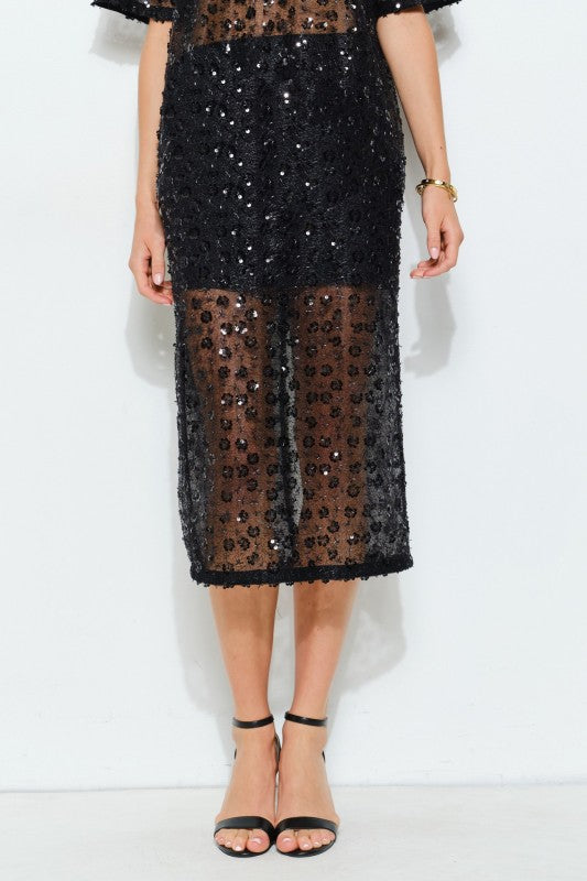 Sequin Embroidered Mesh Midi Skirt